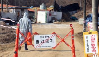 사료에서 발견된 ASF 바이러스, 경기도 긴급 사용중지