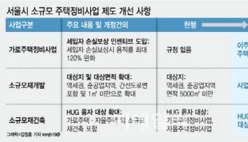 “소규모 재개발 1만㎡까지”…소규모정비제도 개선 요청한 서울시
