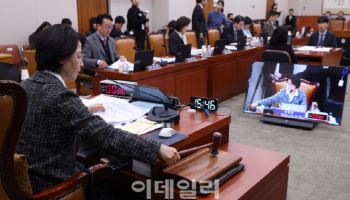 '입법 드라이브' 속도 내는 거여…법사위서 상법 개정안 강행