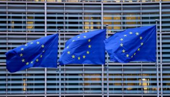 아이슬란드, EU 가입 재추진 속도…트럼프 '그린란드 야욕'에 화들짝