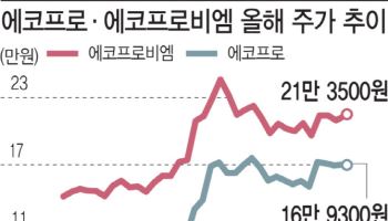'시총 1위 탈환' 에코프로, 외국인 '픽'도 1위…코스닥 대장주 굳히나