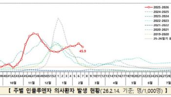 개학 앞두고 초등생 독감 확산…질병청 “위생수칙 준수”