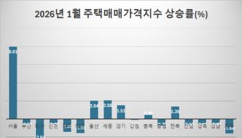 국정 책임자가 지방에 집을 산다면?[현장에서]
