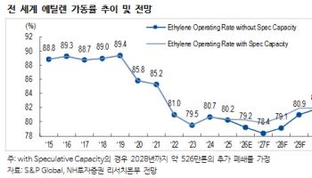 “구조조정 나서도 ‘화학 반등’은 앞당겨지지 않아”