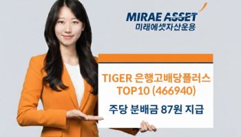 TIGER 은행고배당플러스TOP10, 주당 분배금 인상