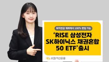삼전·하닉 투자하는데…퇴직연금서 100% 담는 ETF 나왔다