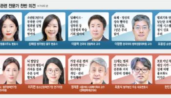 "신종범죄 많아 13세로 낮춰야" vs "처벌보다 위기아동 관리 먼저"