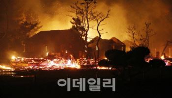 공구 불똥 방치했다가 산불…임야 6.5㏊ 태운 70대 집유