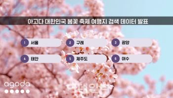 여의도 봄꽃축제에 숙소검색 225%↑…구례·광양 뒤이어 ‘증가세’