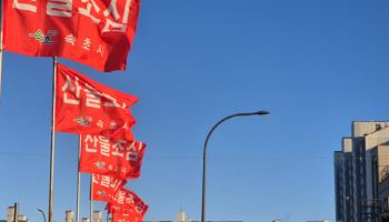 비도 눈도 안 왔다…역대급 메마른 겨울, 강수량 절반 '뚝'