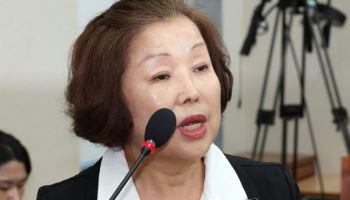 손효숙 리박스쿨 대표, '댓글 여론조작' 의혹 첫 재판서 혐의 부인