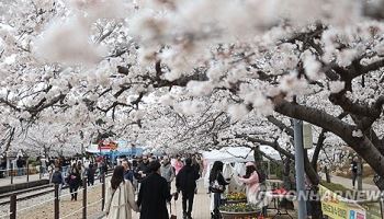 “바가지 쓰면 즉각 퇴출...진해군항제, 800억 누비전 풀고 '클린 축제' 승부수