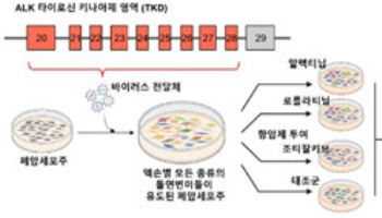 폐암 표적치료제 내성 반응 지도 구축...  맞춤형 치료 전략 근거 마련