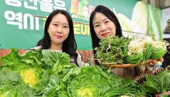 "두쫀쿠 다음 봄동비빔밥"…식약처, 봄나물 수거해 잔류 농약 검사한다