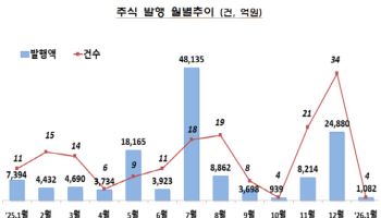 1월 주식발행 전월 대비 95.7%↓…IPO·유상증자 모두 하락