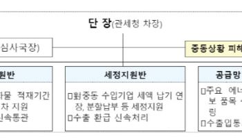 관세청, 중동 수출입기업 관세·물류 긴급지원…비상 TF 가동