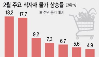 "쌀·고기 줄줄이 올랐는데 전쟁까지"…'설상가상' 밥상물가