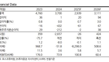 포스코퓨처엠, 베트남 인조흑연 투자로 음극재 반등 기대-DS