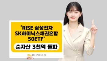 RISE 삼성전자SK하이닉스채권혼합50 ETF, 순자산 3000억 돌파