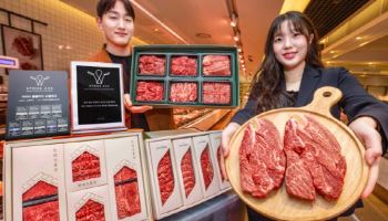 현대百, ‘100% 순혈 와규’ 판매…식품관 프리미엄 강화