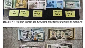 "옷 갈아입고, 무전하고"…치밀했던 강남 주택가 도둑, 경찰에 덜미