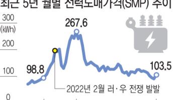 “중동전쟁 장기화 땐 산업용 전기료 더 오를수도”