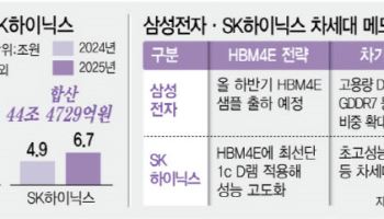 'HBM4E' 잡아라…삼전·하닉, 역대급 R&D 투자에 생산기반 확충