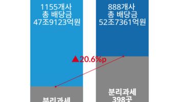 배당소득 분리과세 효과…상장사 44.8% 요건 충족