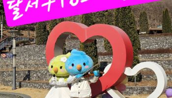인연 꽃피운 달서구 ‘미혼남녀 만남행사’ 16호 커플 탄생