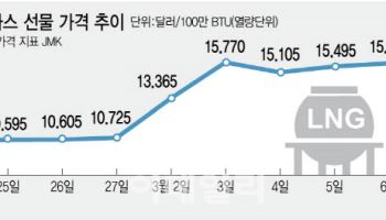 전력생산 상당부분 차지하는데 LNG가격 열흘새 50% 뛰었다