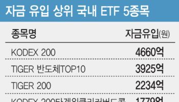 글로벌 패시브 자금, 미국 대형주 '팔고' 한국 주식 '샀다'