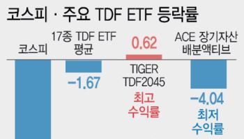 요동치는 국장에도 'TDF ETF'는 낙폭 제한…분산투자 방어력 확인
