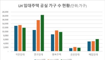 2년간 1만 가구 늘어난 공공임대...서울 강남도 공실