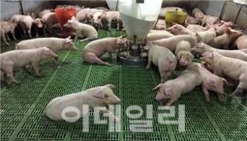 경기도, 축산농가 분뇨 처리 다각화…'악취저감·환경보전'