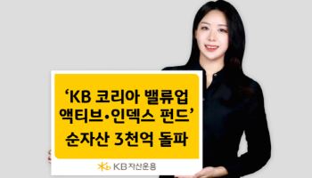 “1년 수익률 150%”…KB운용, 밸류업 펀드 2종 순자산 3000억↑