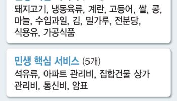 먹거리부터 관리비·통신비까지...정부, 23개 품목 특별관리