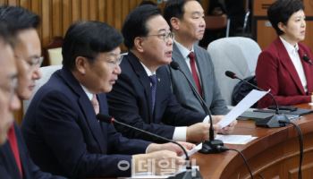 국힘 "'공소취소 거래설', 정성호 탄핵소추안 필요"