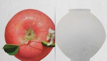 사과가 익고, 항아리가 비워지다...윤병락·최영욱, 과천서 초대전