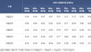 “미국서도 신용점수 인플레…금융사, 점수 의존보다는 변동 원인 살펴야”