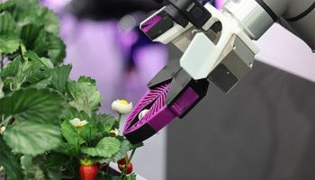 농업·농촌 AI 대전환 추진...'스마트 농촌' 100곳 조성