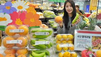 롯데마트, 국산 열대·아열대 과일 3종 출시