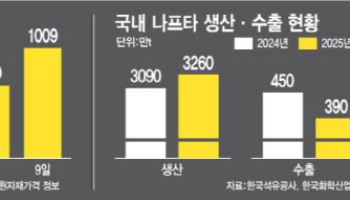 나프타 수출 차단은 임시방편...원유 공급선 다변화·설비 확충 시급