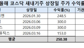 공모주 훈풍 이어질까…새내기주 흥행에 IPO 시장 주목