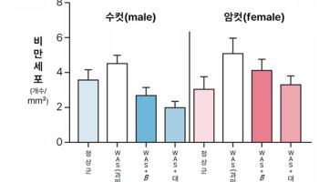 과민성장증후군 치료의 변수는 성별... 미생물 기반 치료제 반응 달라
