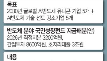 "K엔비디아 키운다"…정부, 올해 AI반도체에 4조 베팅