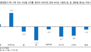 "`디지털 금` 서사로 오른 비트코인, 다시 위험자산 돌아설 듯"