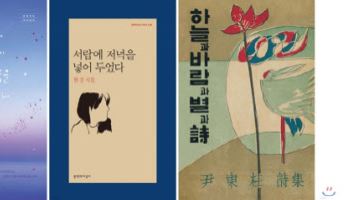 10년간 가장 사랑받은 시집은…나태주 ‘꽃을 보듯 너를 본다’