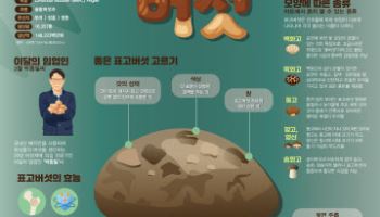 산림청, 이달의 임산물 ‘표고버섯’ 선정