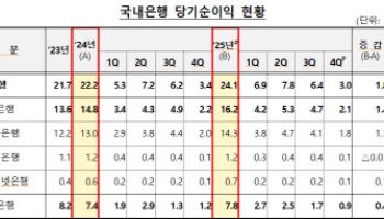 지난해 국내은행 순이익 24조 넘게 벌어…'역대 최대'