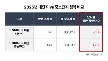 대단지 쏠림 심화…중소단지 대비 청약자 수 4배 많아